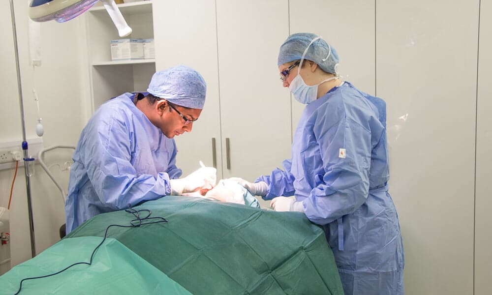 The Year of Goldilocks Anaesthesia and Day Case Procedures