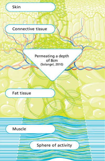 Everything You Need to Know About... Deep Oscillation